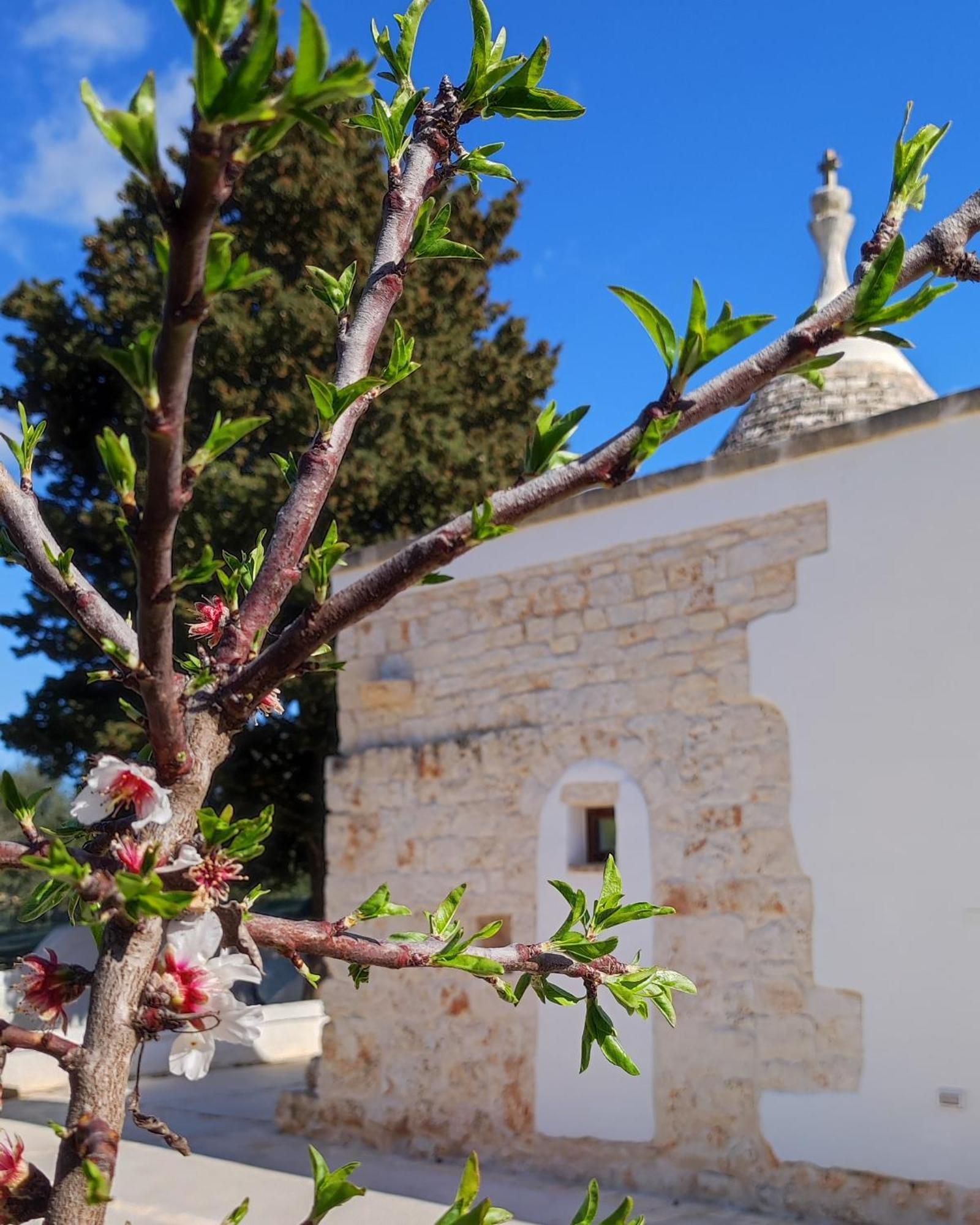 Villa Trullo Zurlo à Ostuni Extérieur photo