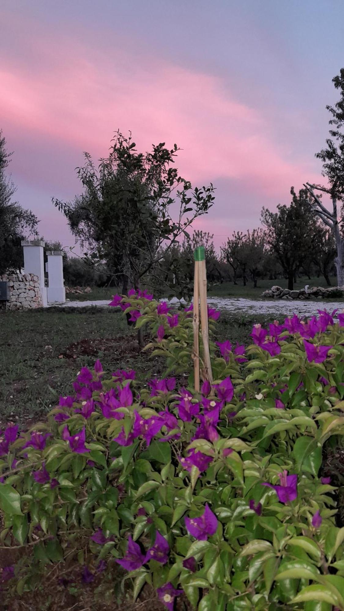 Villa Trullo Zurlo à Ostuni Extérieur photo